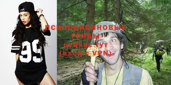 прущие крисы Алексеевка