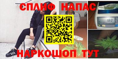 mdpv Бийск