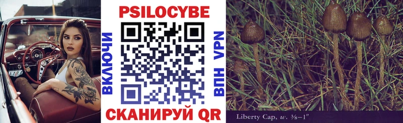 что такое наркотик  Зима  Галлюциногенные грибы Psilocybine cubensis 