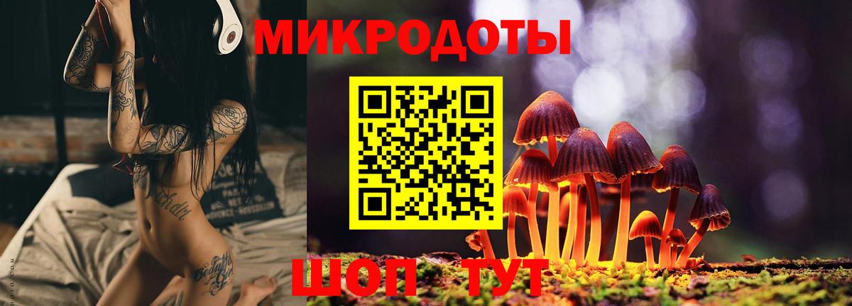 Зима  Галлюциногенные грибы мицелий  Вход с VPN 